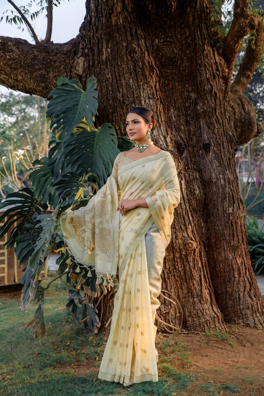 Pure linen silk saree | Luxury Wear For Women